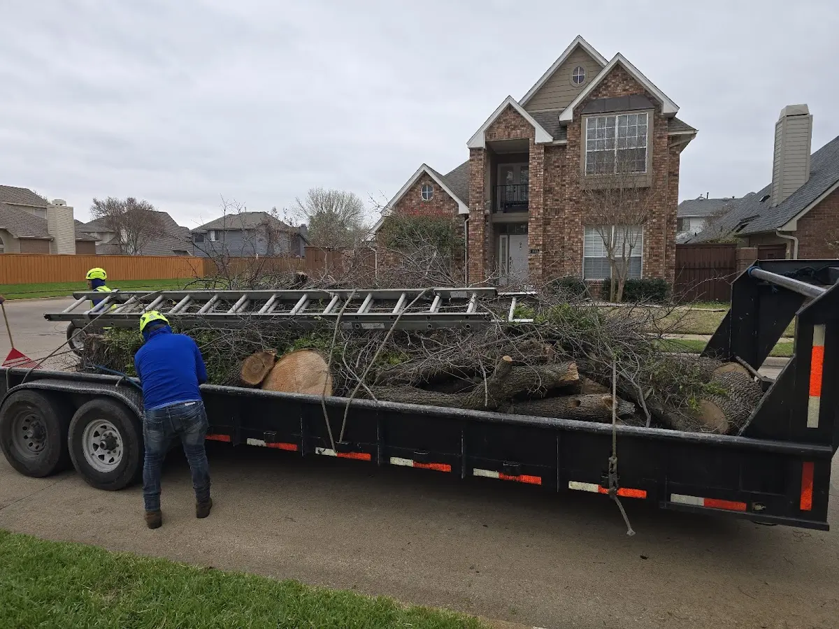 Expert Tree Removal with proper safety equipment in Hulbert